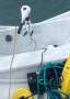 Triton 24 Must sell - 24 Triton Yacht