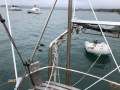 Terry Wells Blue Water 41
