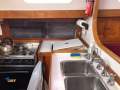 Terry Wells Blue Water 41