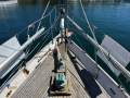 Terry Wells Blue Water 41