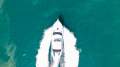 Mustang M37 Flybridge