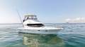 Mustang M37 Flybridge