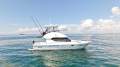 Mustang M37 Flybridge