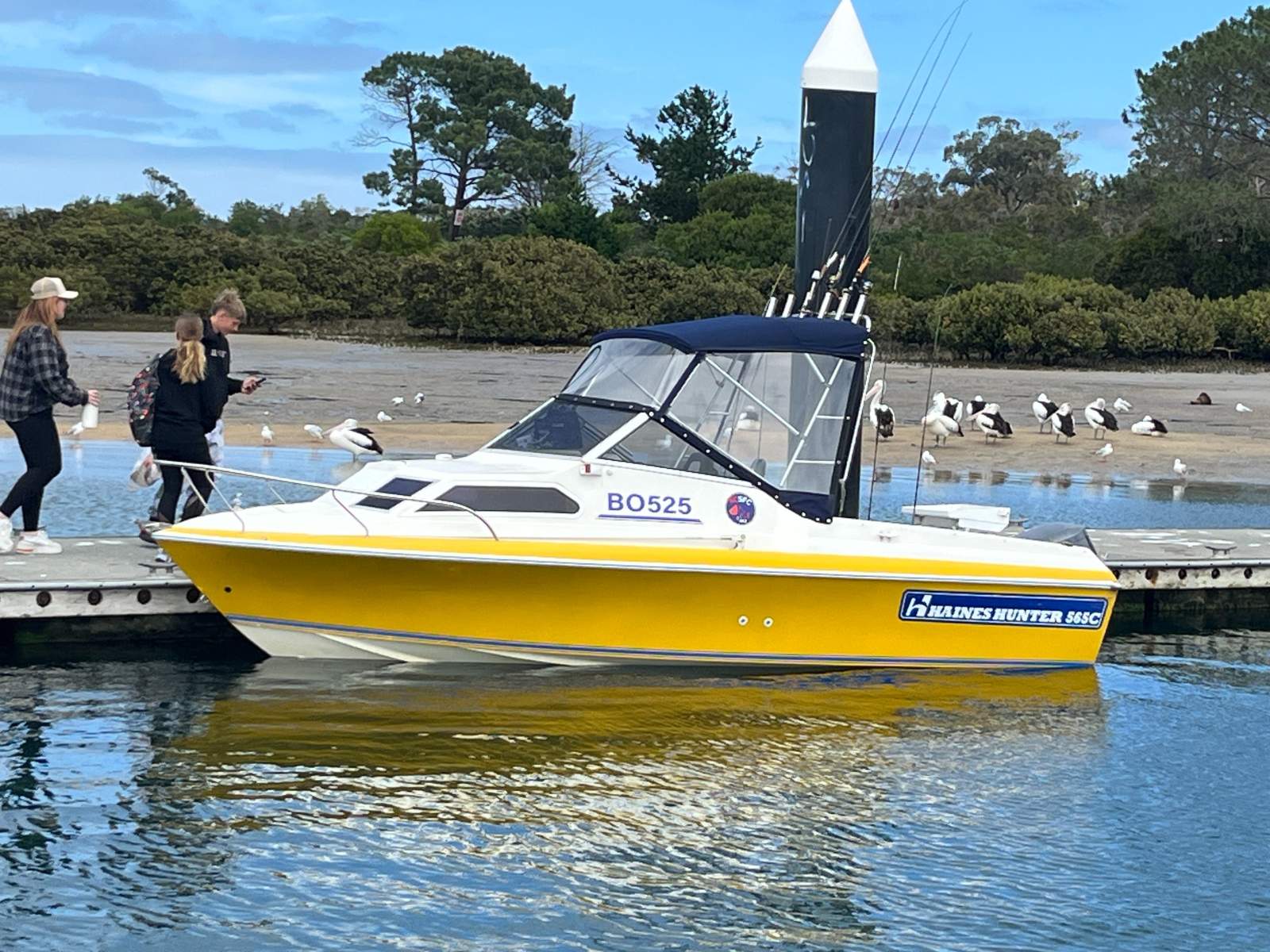 Haines Hunter 565C