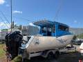 Ocean Blue Boats 8.8