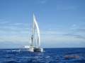 Grainger Raku 45 Performance Cruising Catamaran