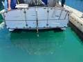 Bertram 35 Flybridge MK3 with 2 x Caterpillar Diesels:Swimplatform in up position