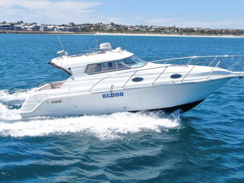 Leeder 2900 Millennium Best example 290 on the market today