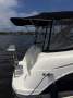 Bayliner 335