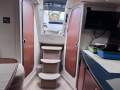 Bayliner 335