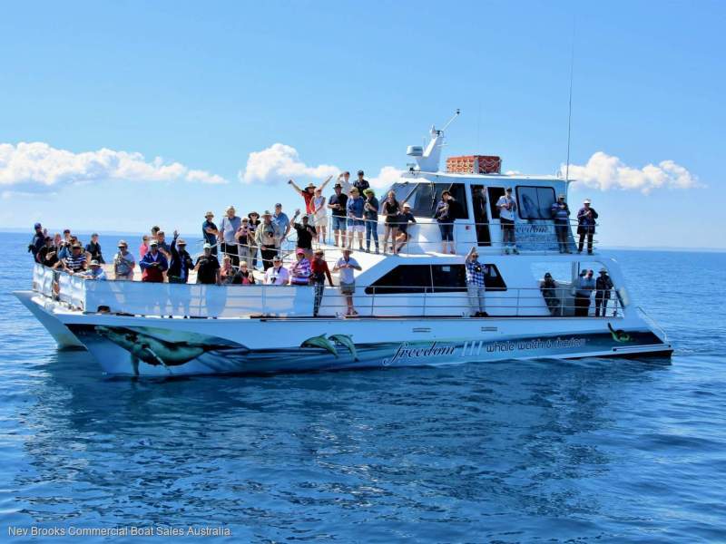 Eco Tours and Whale Watching Business