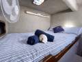 Eco Tours and Whale Watching Business