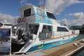 Eco Tours and Whale Watching Business