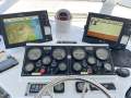 Eco Tours and Whale Watching Business