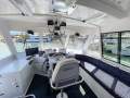 Eco Tours and Whale Watching Business