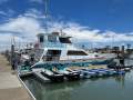 Eco Tours and Whale Watching Business
