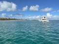 Eco Tours and Whale Watching Business