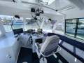 Eco Tours and Whale Watching Business