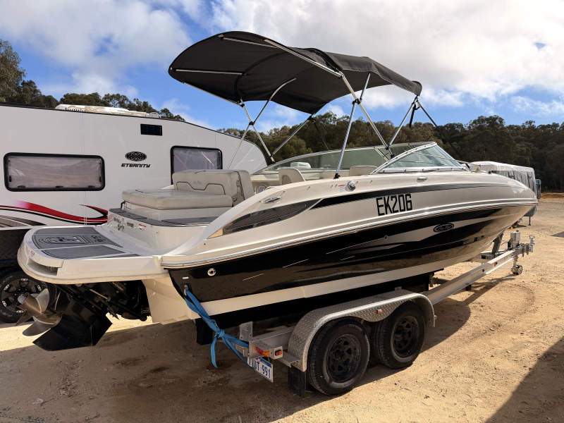 Sea Ray 240 Sundeck - Family Fun + Trailer!