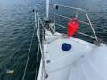 Catalina 36