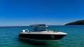 Pursuit DC265 Only 57 hours complete with alloy trailer
