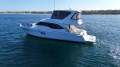 Ovation 52