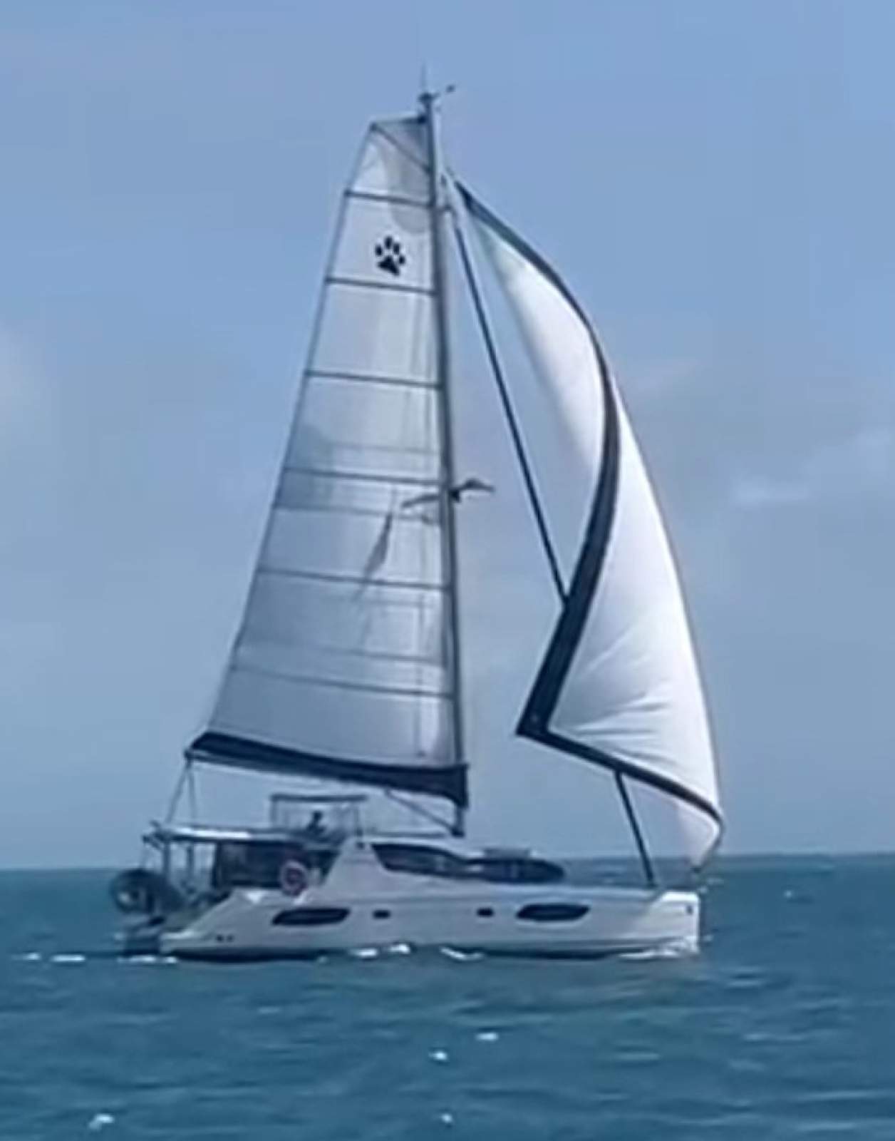 Robertson and Caine Leopard 44