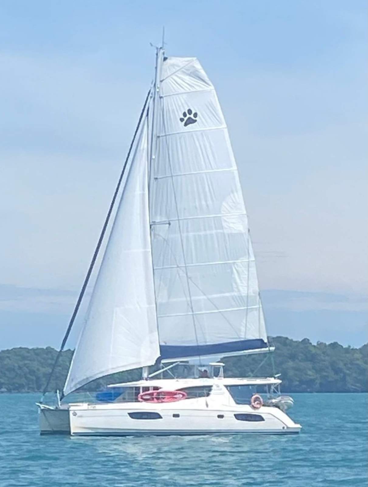 Robertson and Caine Leopard 44
