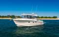 Arvor 905 Sportsfish