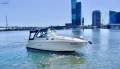 Sea Ray 335 Sundancer