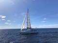 Lagoon 470