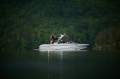 Malibu Wakesetter 22LSV