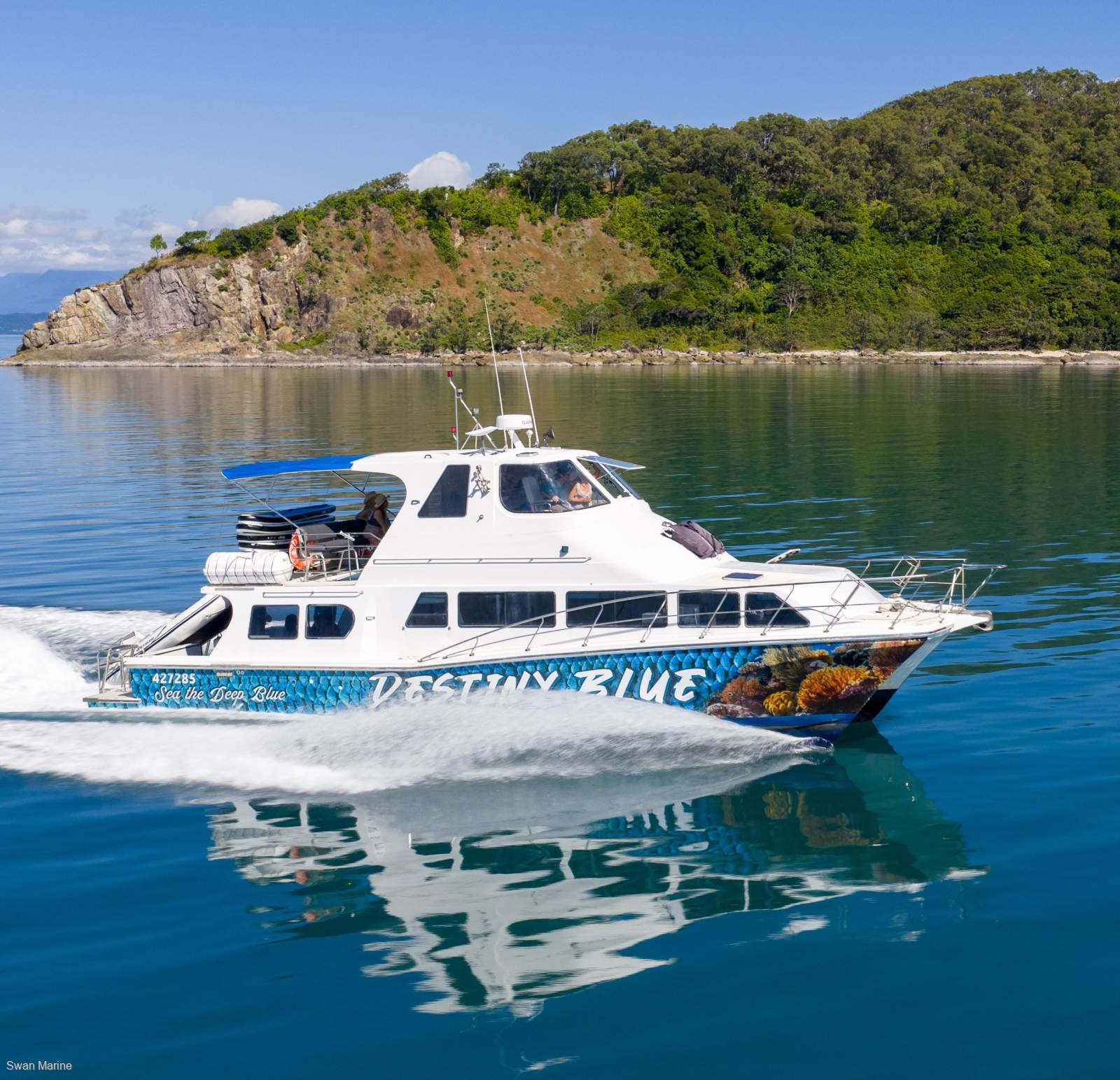 Cougar Cat 15.0 Flybridge
