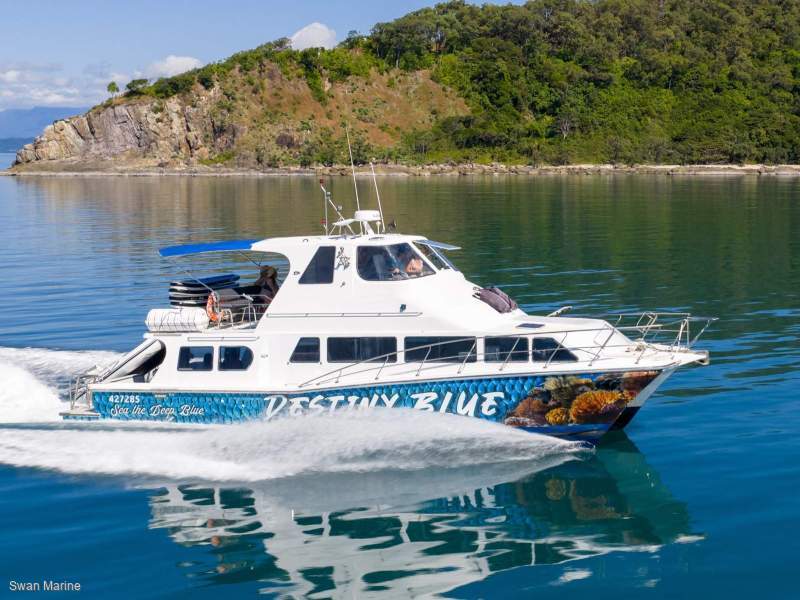 Cougar Cat 15.0 Flybridge