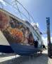 Cougar Cat 15.0 Flybridge