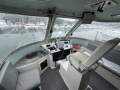 Cougar Cat 15.0 Flybridge