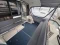 Cougar Cat 15.0 Flybridge