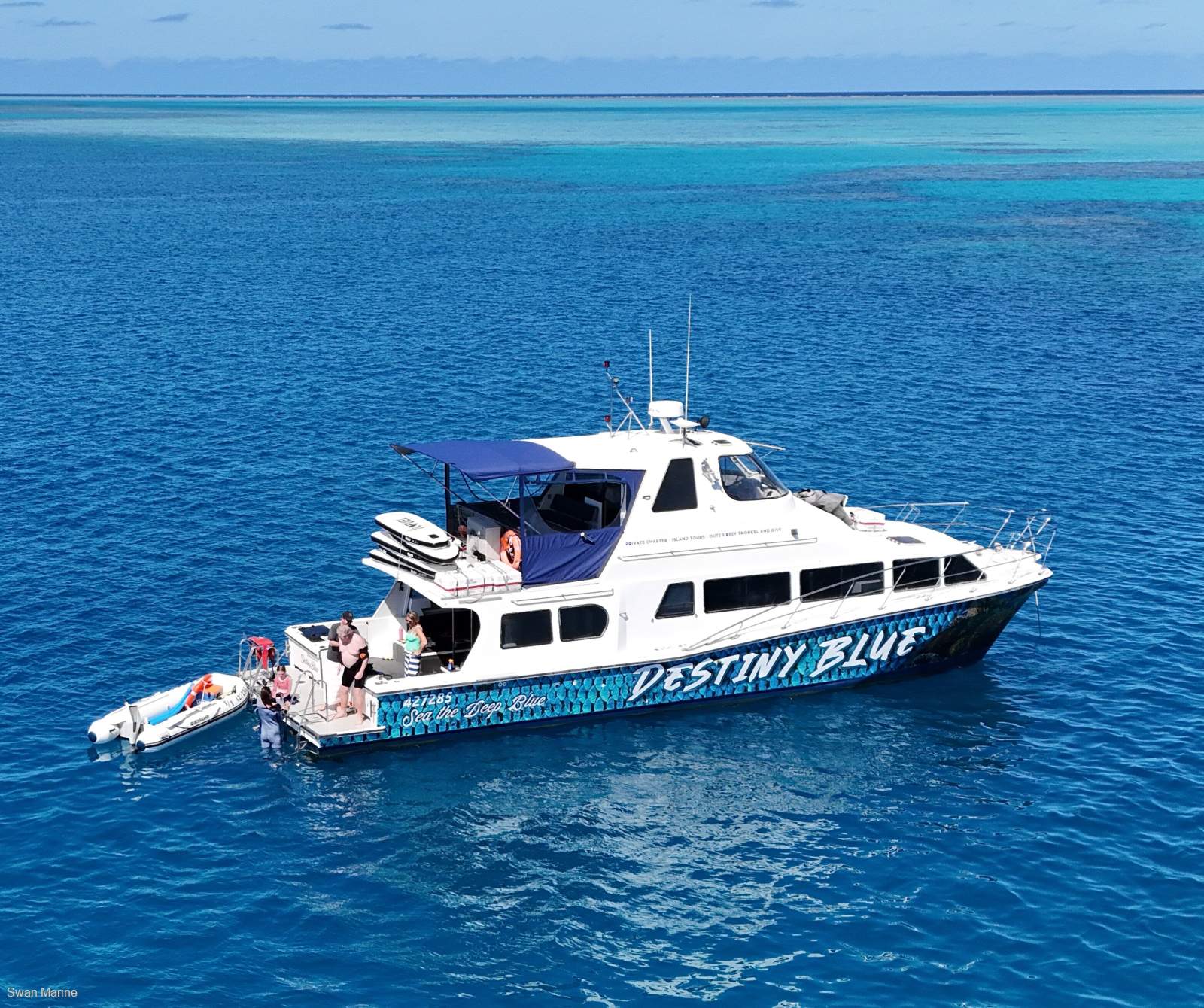 Cougar Cat 15.0 Flybridge