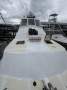Cougar Cat 15.0 Flybridge