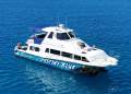Cougar Cat 15.0 Flybridge