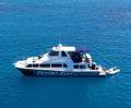 Cougar Cat 15.0 Flybridge