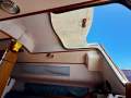 Austral Clubman 8