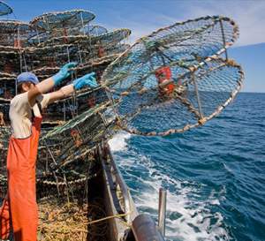 Class A, SCLT Managed Fishing Licence