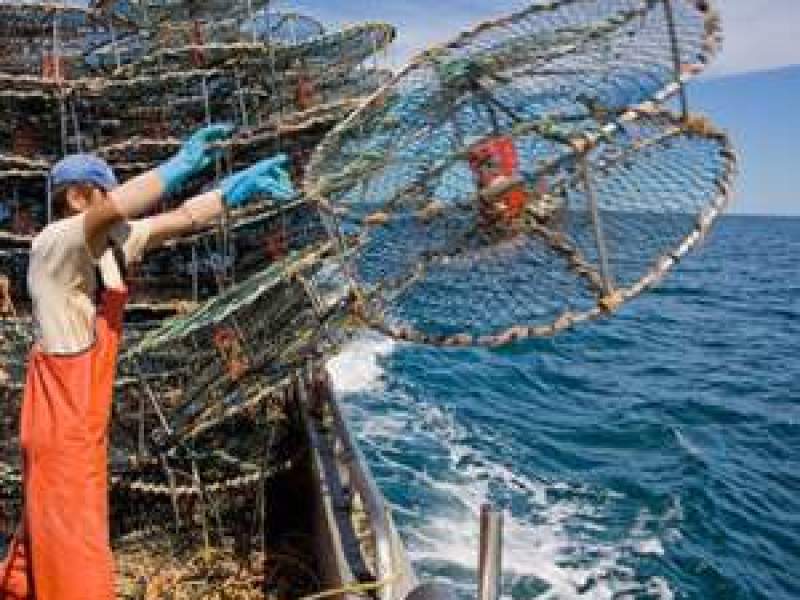Class A, SCLT Managed Fishing Licence