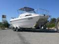 Markham Dominator 5600 Canyon Runner