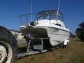 Markham Dominator 5600 Canyon Runner