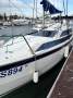 Macgregor 26M Tattoo