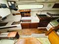 Custom Trailer Sailer