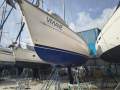 Bavaria 42 | turnkey | liveaboard-equipped