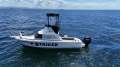Bertram Caribbean 25 Flybridge